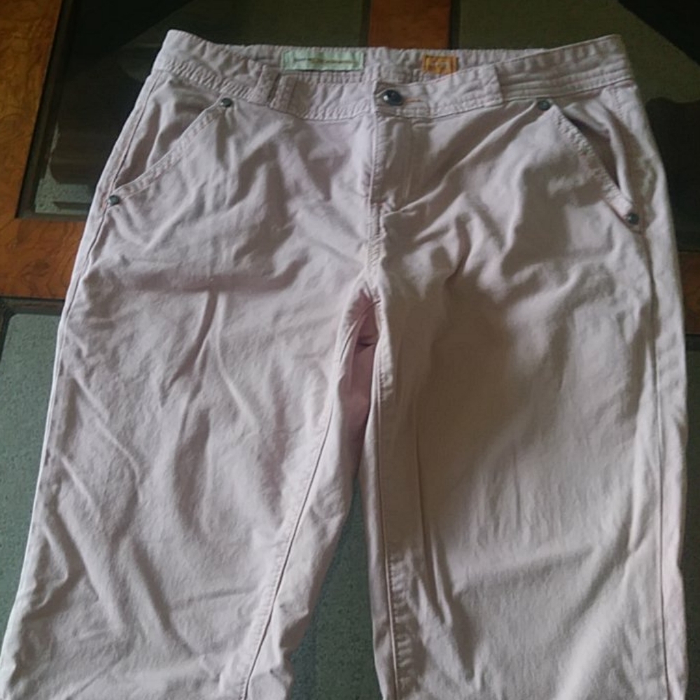 Pilcro and the Letterpress Pink cotton pants - Picture 2 of 4